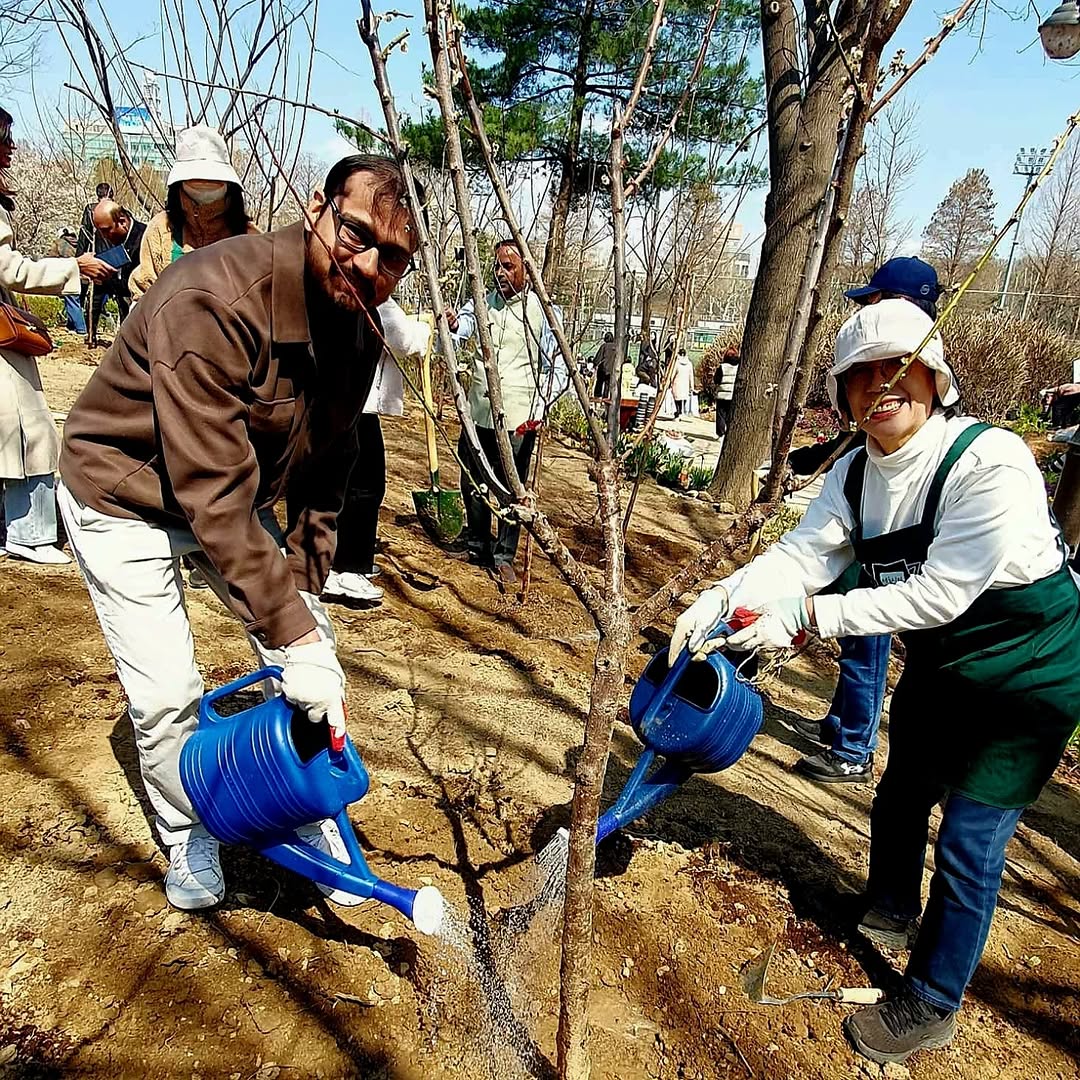 Tree Plantation Drive